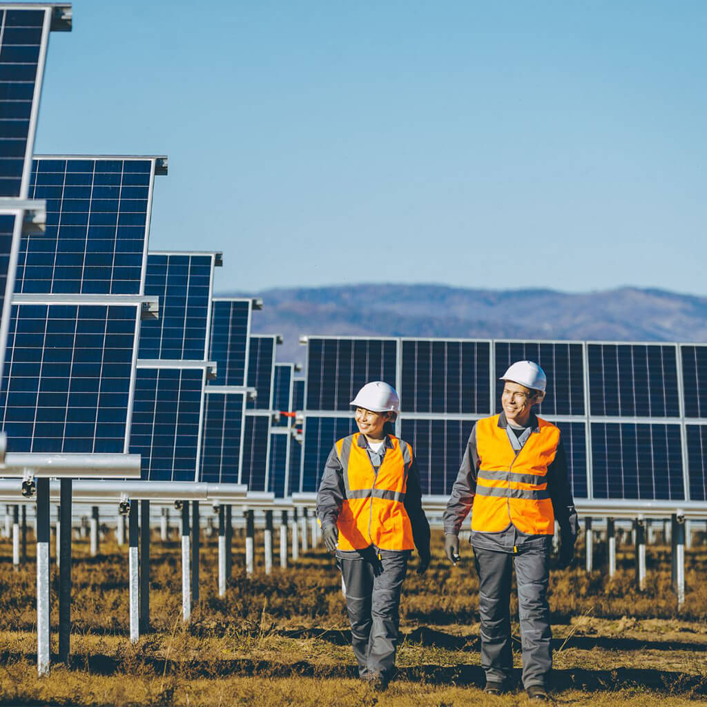 people in construction clothing walking though solar field