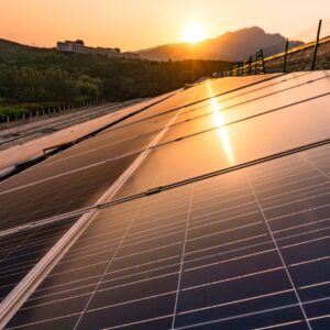 Texas Solar Panels in the sunset